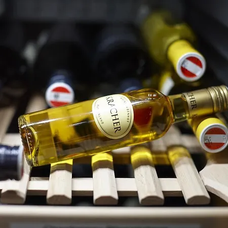 Отель Alpengasthof Gruener, In & Out 4*